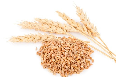 小麦（アメリカ・国産）
