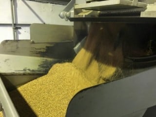 小麦処理